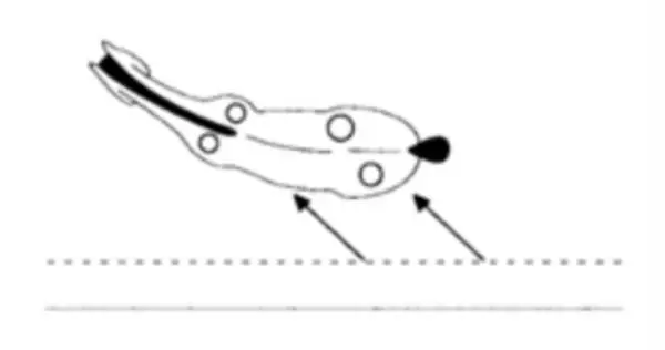 Visuel d'un cheval qui se déplace latéralement dans le sens de l'incurvation