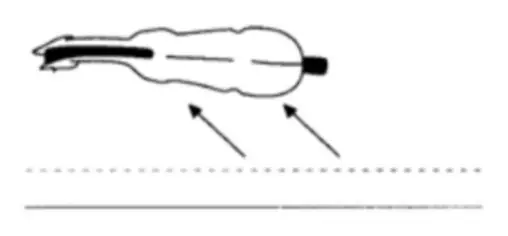 Visuel d'un cheval qui se déplace en diagonale avec un pli externe