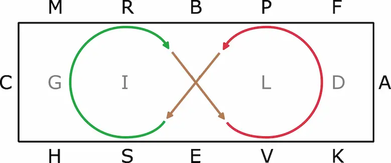 Visuel d'un huit de chiffre avec un cercle au galop et un cercle au contre-galop